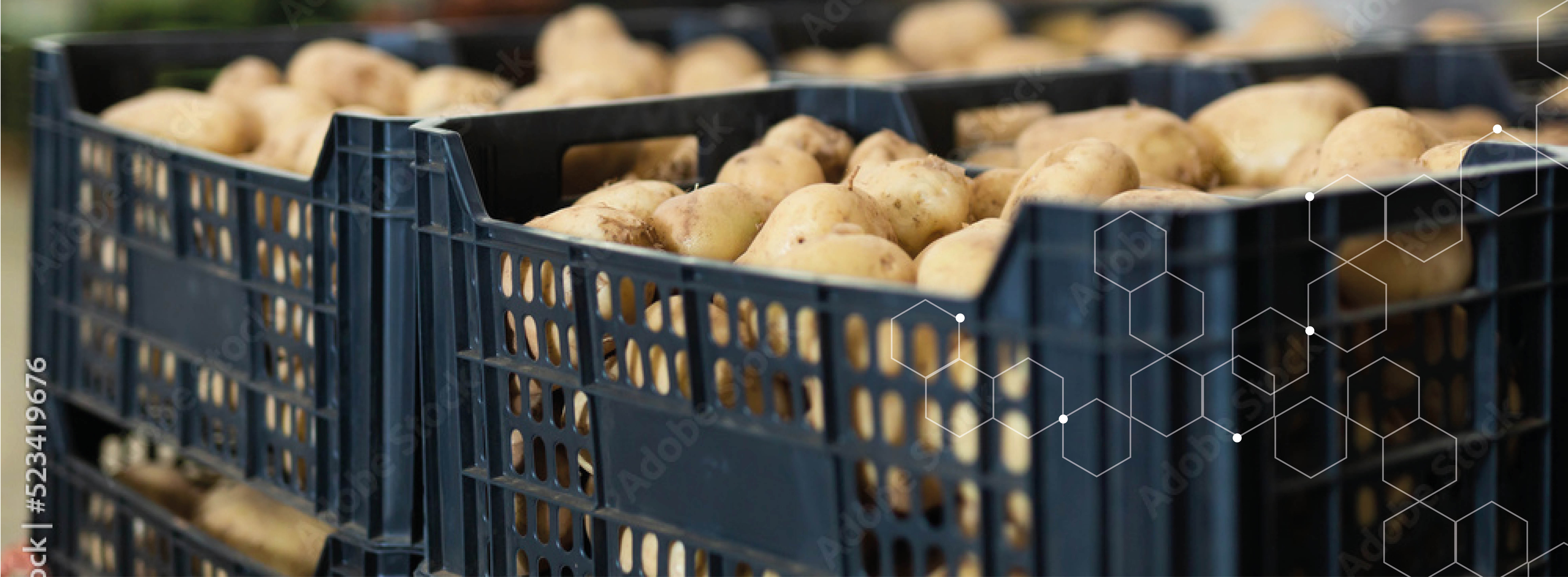 CIP Reinigung mit Hexagon